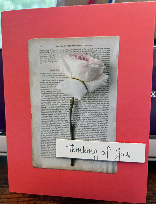 Rose Thinking of You Card